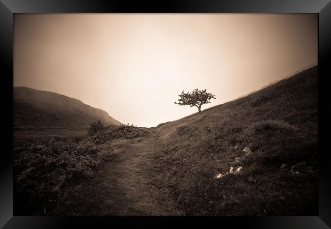 The lonely trail Framed Print by Sean Wareing