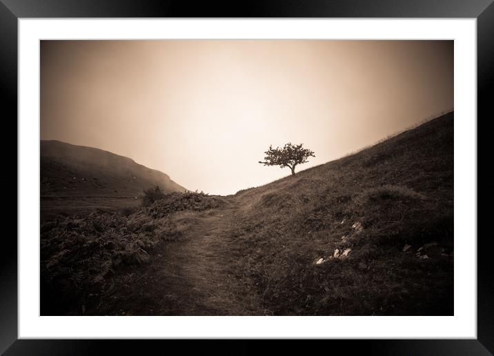 The lonely trail Framed Mounted Print by Sean Wareing