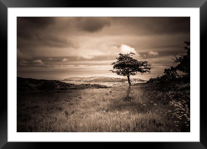 Upon a Hill Framed Mounted Print by Sean Wareing