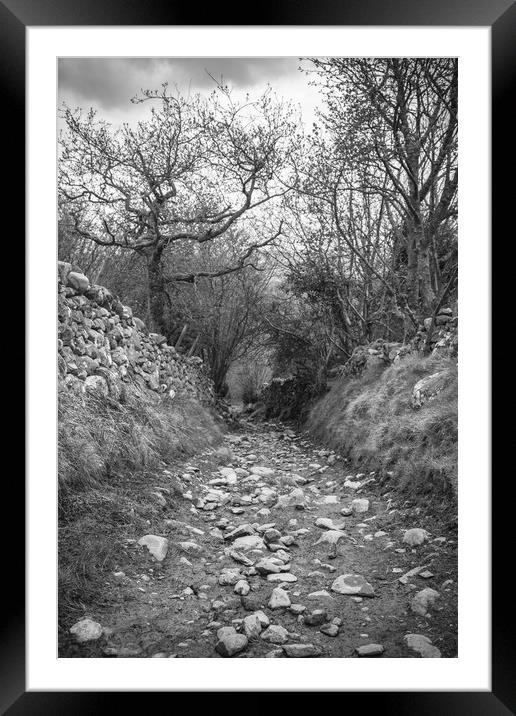 Pilgrims way Framed Mounted Print by Sean Wareing