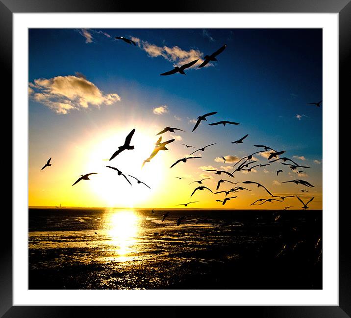 Wings on the Wind Framed Mounted Print by peter tachauer