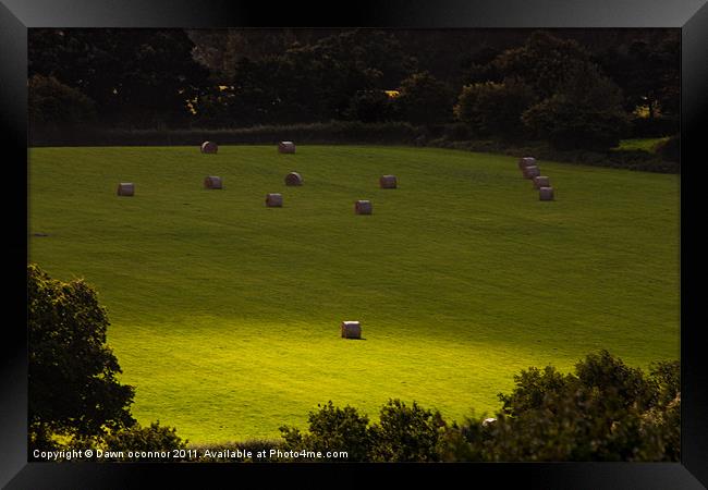Englands Green Fields Framed Print by Dawn O'Connor