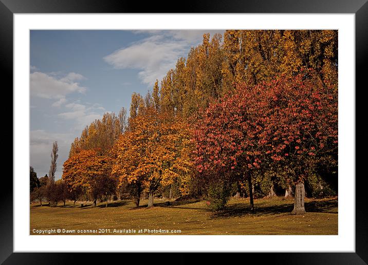 Autumn Colours, Chinbrooke Meadows Framed Mounted Print by Dawn O'Connor