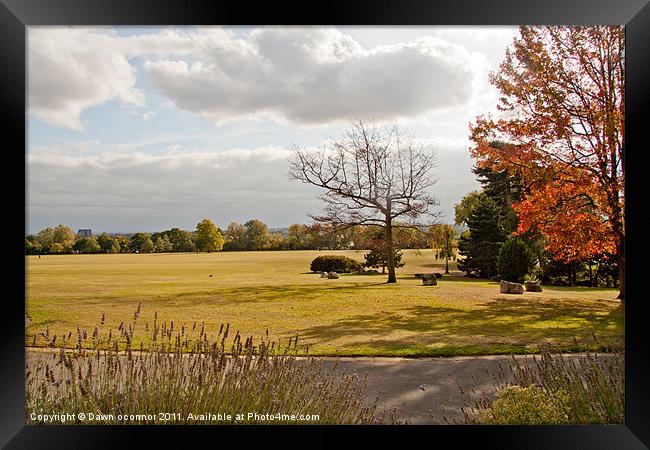 Avery Hill Park Framed Print by Dawn O'Connor