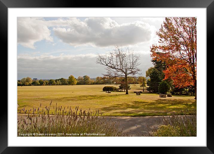 Avery Hill Park Framed Mounted Print by Dawn O'Connor
