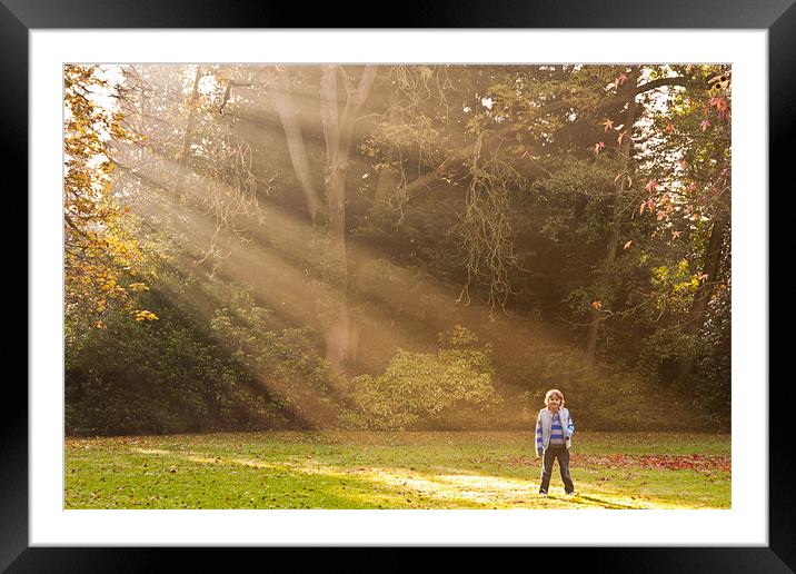 Kelsey Park Beckenham Framed Mounted Print by Dawn O'Connor