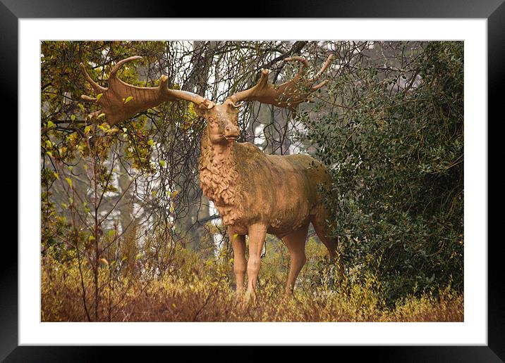 Megaloceros Framed Mounted Print by Dawn O'Connor