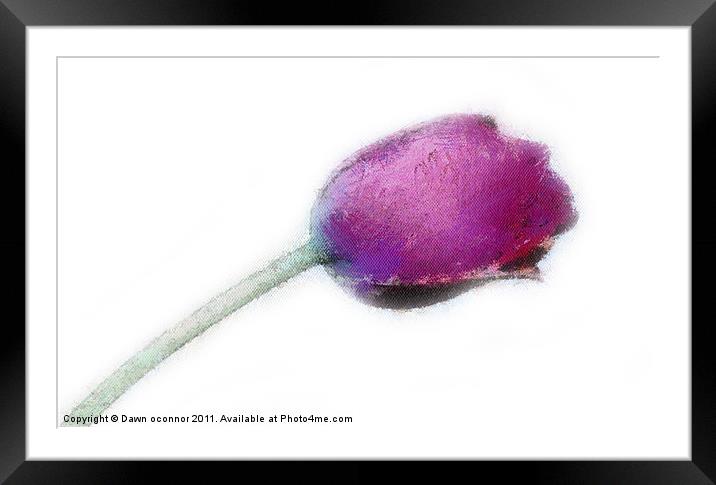 Purple Tulip in Pastel Framed Mounted Print by Dawn O'Connor