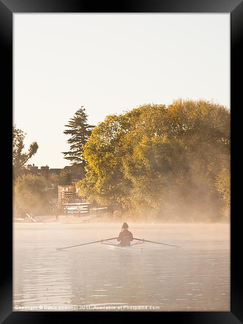 Henley on Thames Rower Framed Print by Dawn O'Connor