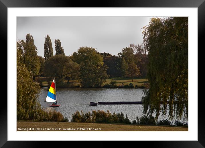 Sailing Danson Park Framed Mounted Print by Dawn O'Connor
