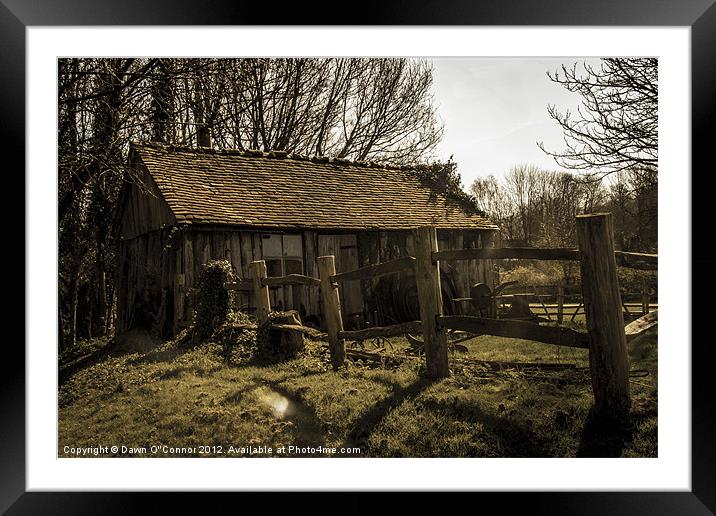 Old Fashioned Shed Framed Mounted Print by Dawn O'Connor