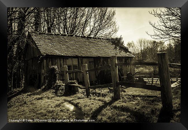 Old Fashioned Shed Framed Print by Dawn O'Connor