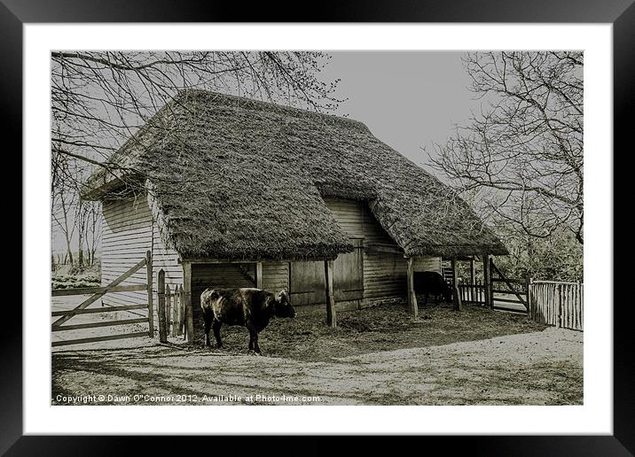 Cowfold Barn Framed Mounted Print by Dawn O'Connor