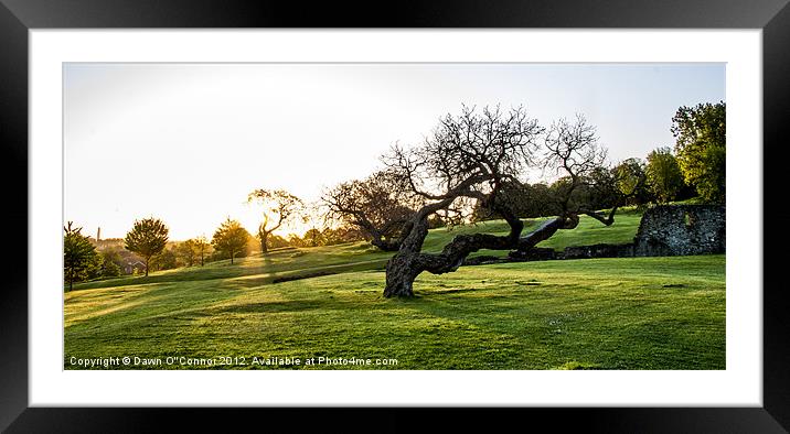 Lesnes Abbey Ruins, Abbeywood Framed Mounted Print by Dawn O'Connor