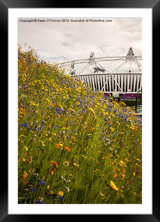 Olympic Park Framed Mounted Print by Dawn O'Connor