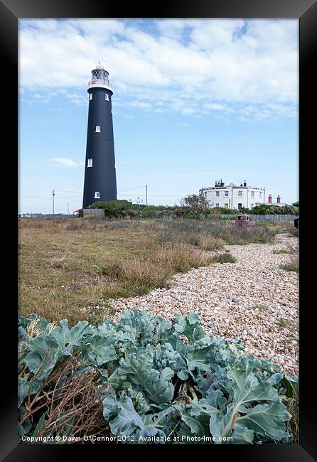 Dungeness Lighthouse Framed Print by Dawn O'Connor