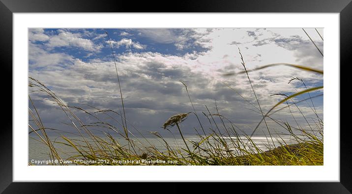 Cowparsley Seascape Dover Framed Mounted Print by Dawn O'Connor