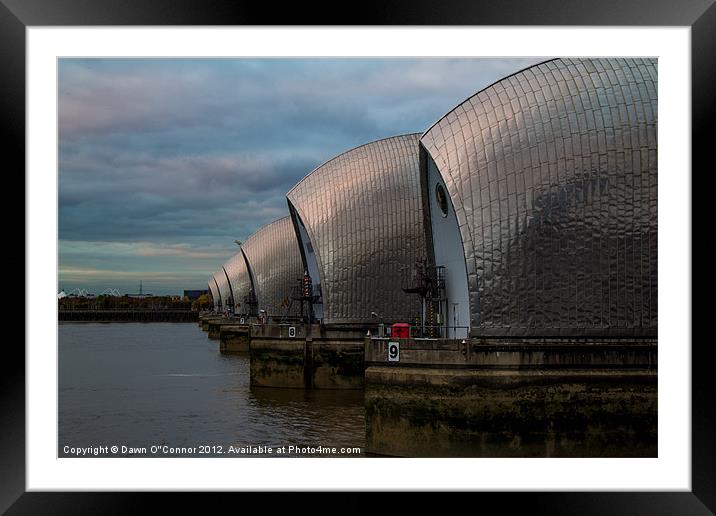 Thames Barrier Framed Mounted Print by Dawn O'Connor