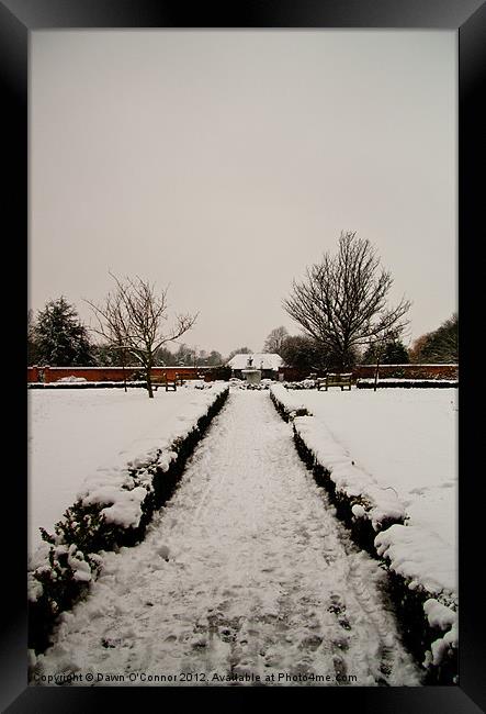 A Snow Covered Path Framed Print by Dawn O'Connor