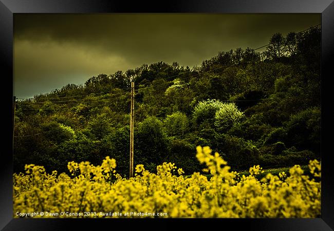 Burham Hill Framed Print by Dawn O'Connor