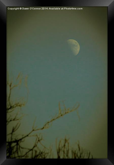 Afternoon Moon Framed Print by Dawn O'Connor