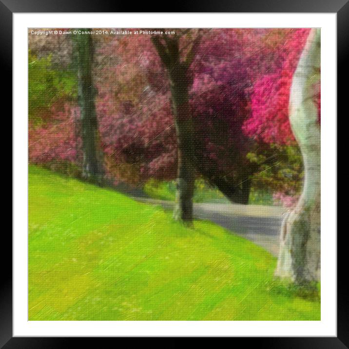 Victoria Park Spring Time 4 of 6 Framed Mounted Print by Dawn O'Connor