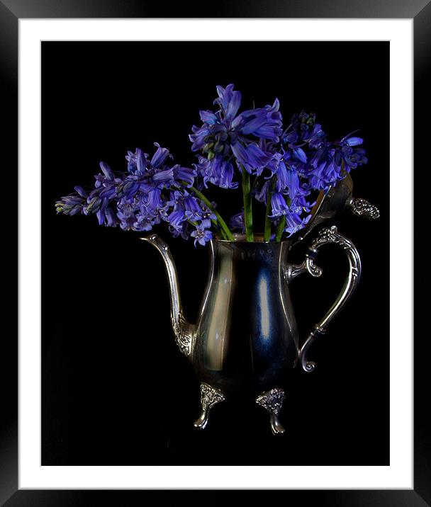 Bluebells in Silver Framed Mounted Print by Dawn O'Connor