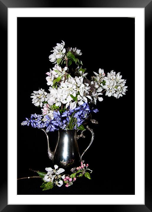Bluebells and Apple Blossom with Pink Buds Framed Mounted Print by Dawn O'Connor