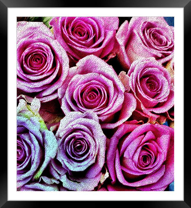 Roses for you Framed Mounted Print by Lauren Meyerink