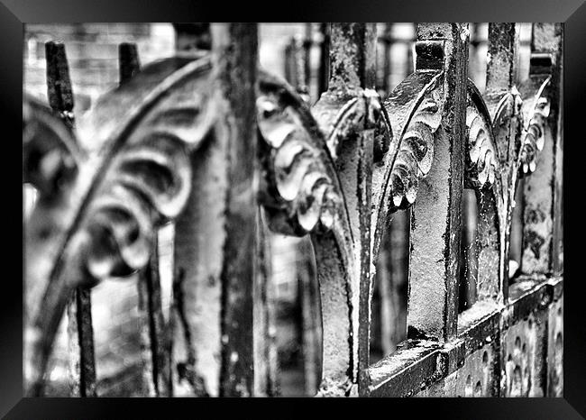 The Iron Gate in Black and White Framed Print by Lauren Meyerink