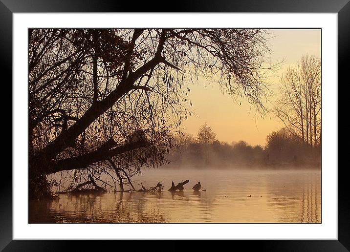 The Thames at dawn Framed Mounted Print by Graham Piper