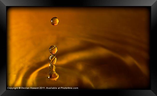 Golden Droplet Framed Print by Declan Howard