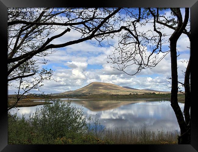  View from the Greenway Framed Print by Declan Howard