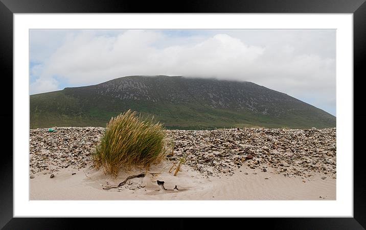 Windswept Achill Framed Mounted Print by Declan Howard