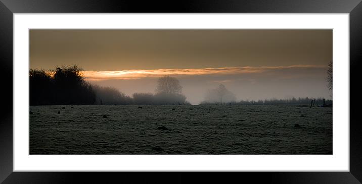 Rabbits At Sunrise Framed Mounted Print by Declan Howard