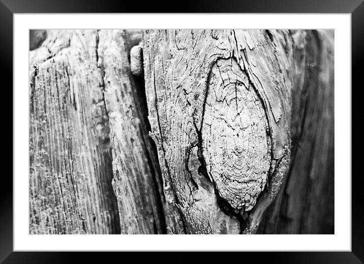 The Knot Framed Mounted Print by Declan Howard