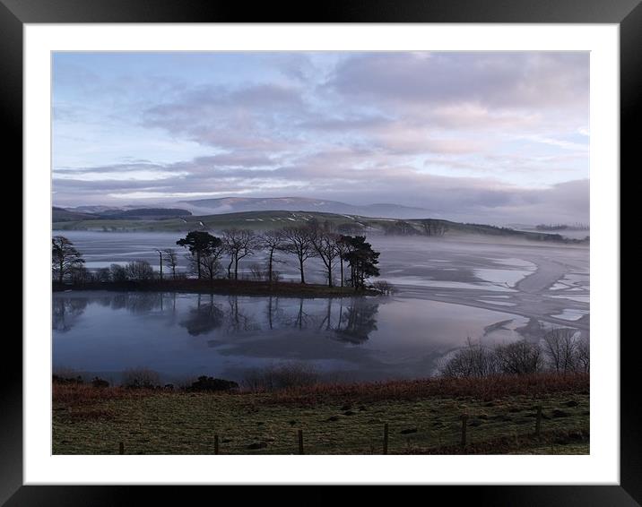 Tree in water Framed Mounted Print by Nigel G Owen