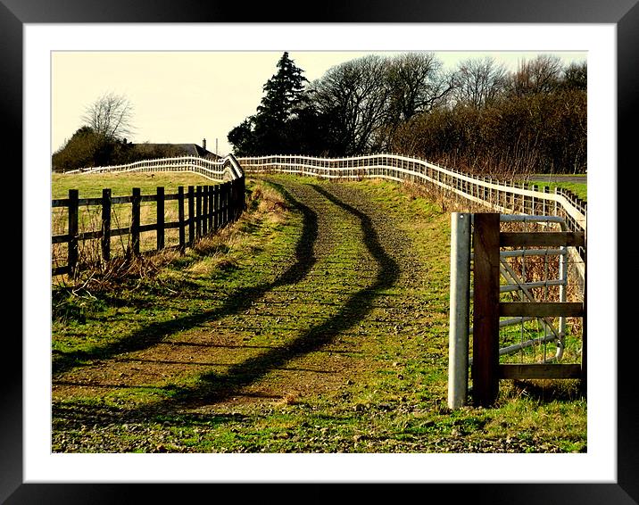 Fence Framed Mounted Print by Nigel G Owen