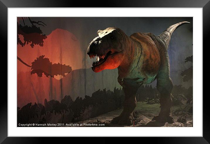 Tyrannosaurus Rex Framed Mounted Print by Hannah Morley