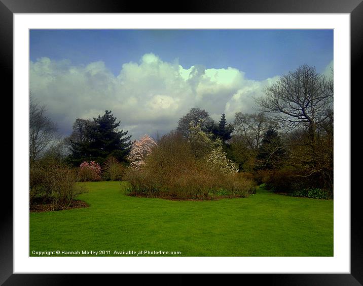Borde Hill Gardens Framed Mounted Print by Hannah Morley