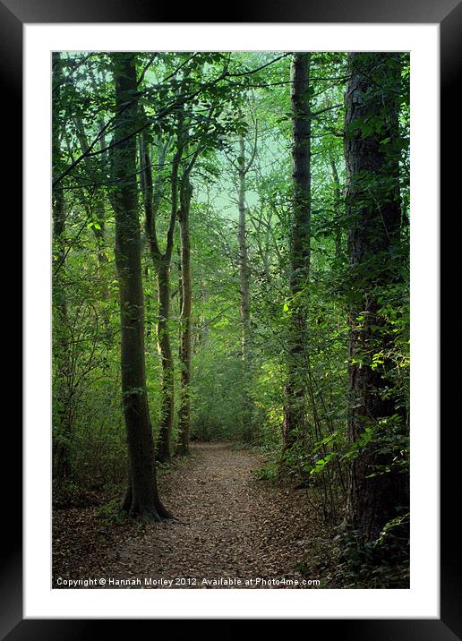 Friston Forest, Sussex Framed Mounted Print by Hannah Morley