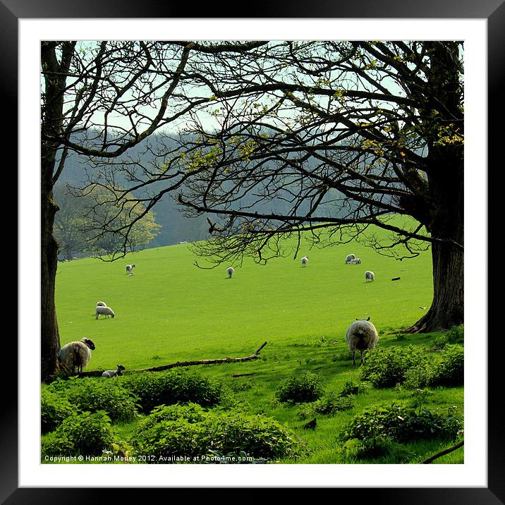Sussex Countryside Framed Mounted Print by Hannah Morley
