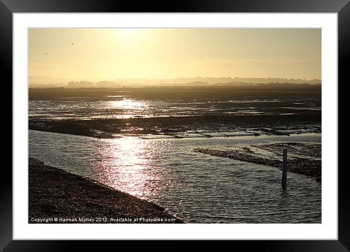 Rye Harbour Nature Reserve Framed Mounted Print by Hannah Morley