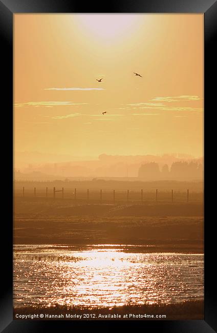 Rye Harbour Nature Reserve, Sunset Framed Print by Hannah Morley