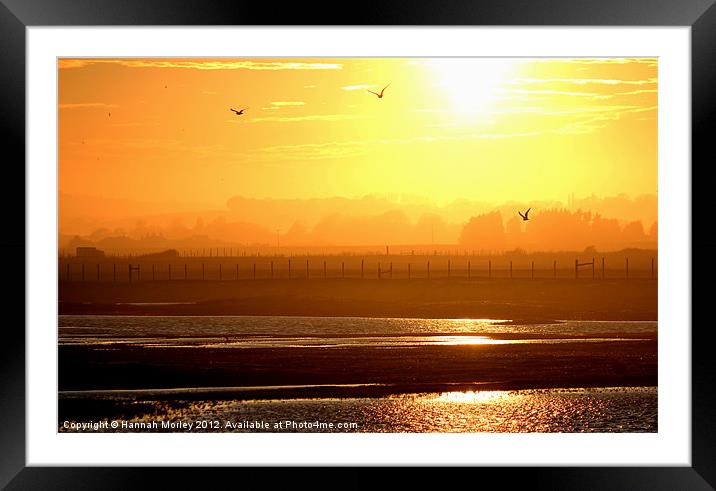 Rye Harbour Nature Reserve, Sunset Framed Mounted Print by Hannah Morley