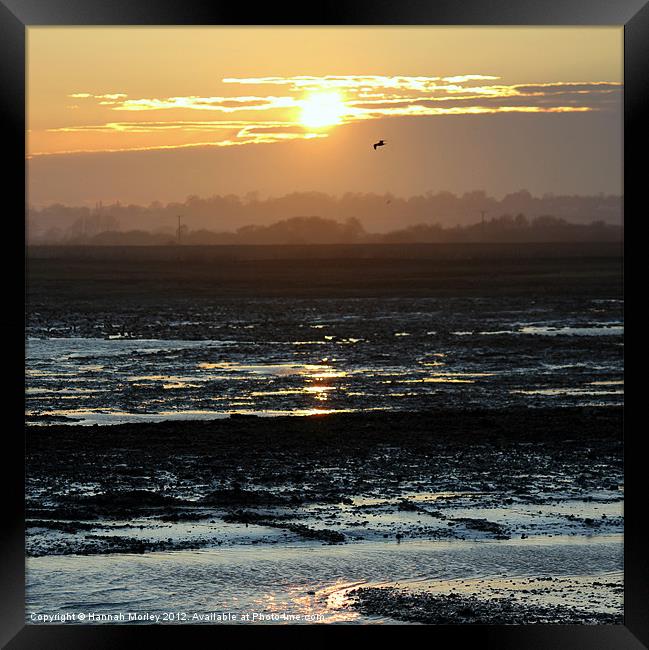 Rye Harbour Nature Reserve, Sunset Framed Print by Hannah Morley