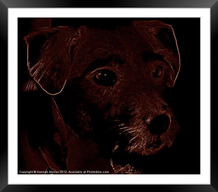 Patterdale Terrier Dog Framed Mounted Print by Hannah Morley