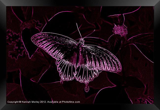 Pink Neon Butterfly Framed Print by Hannah Morley