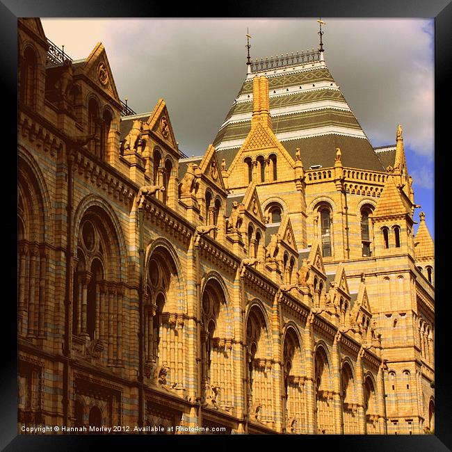 Natural History Museum, London Framed Print by Hannah Morley