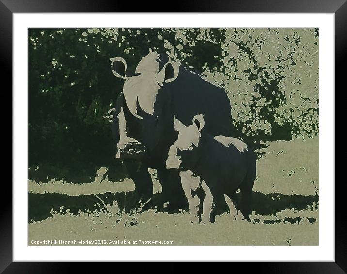 Rhino Mother and Baby Framed Mounted Print by Hannah Morley